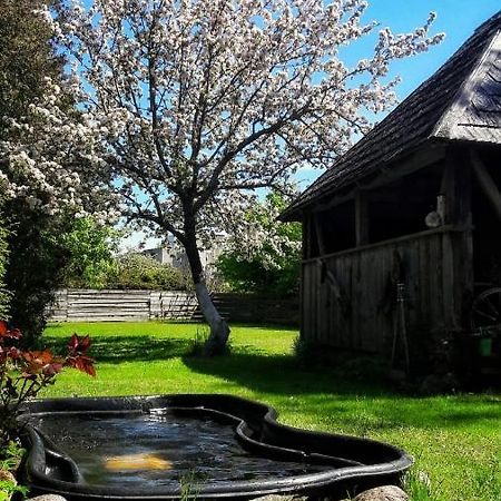 Viesu Nams Klanas Hotel Engure Exterior foto